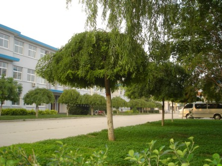 衡水科技學校