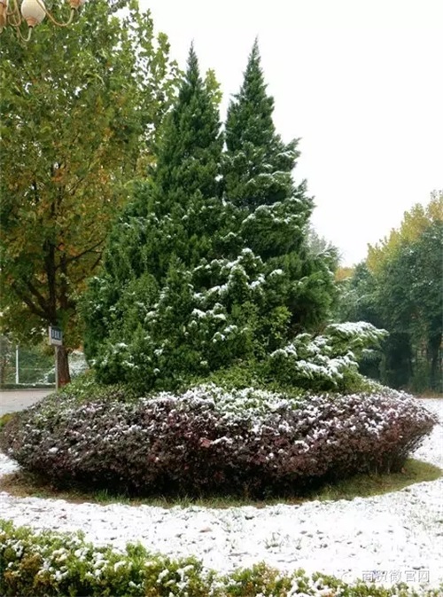 ӱQWУô