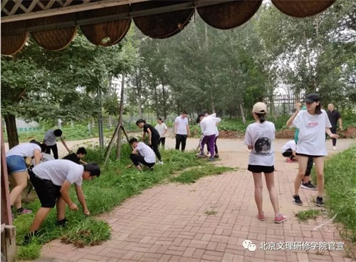 北京文理研修學院夏令營之——芝心園生態農場 北京文理研修學院夏令營之——芝心園生態農場