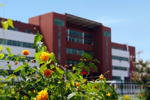 學電子商務專業去石家莊哪所學校比較好? 學電子商務專業去石家莊哪所學校比較好?