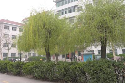 保定育德中等專業學校計算機應用技術好不好? 保定育德中等專業學校計算機應用技術好不好?