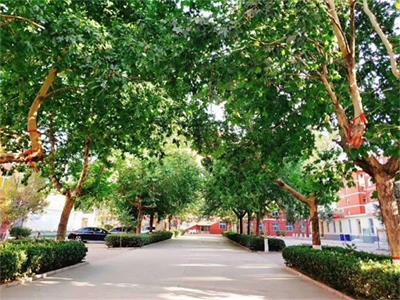 石家莊同創鐵路運輸學校有哪些鐵路相關專業? 石家莊同創鐵路運輸學校有哪些鐵路相關專業?