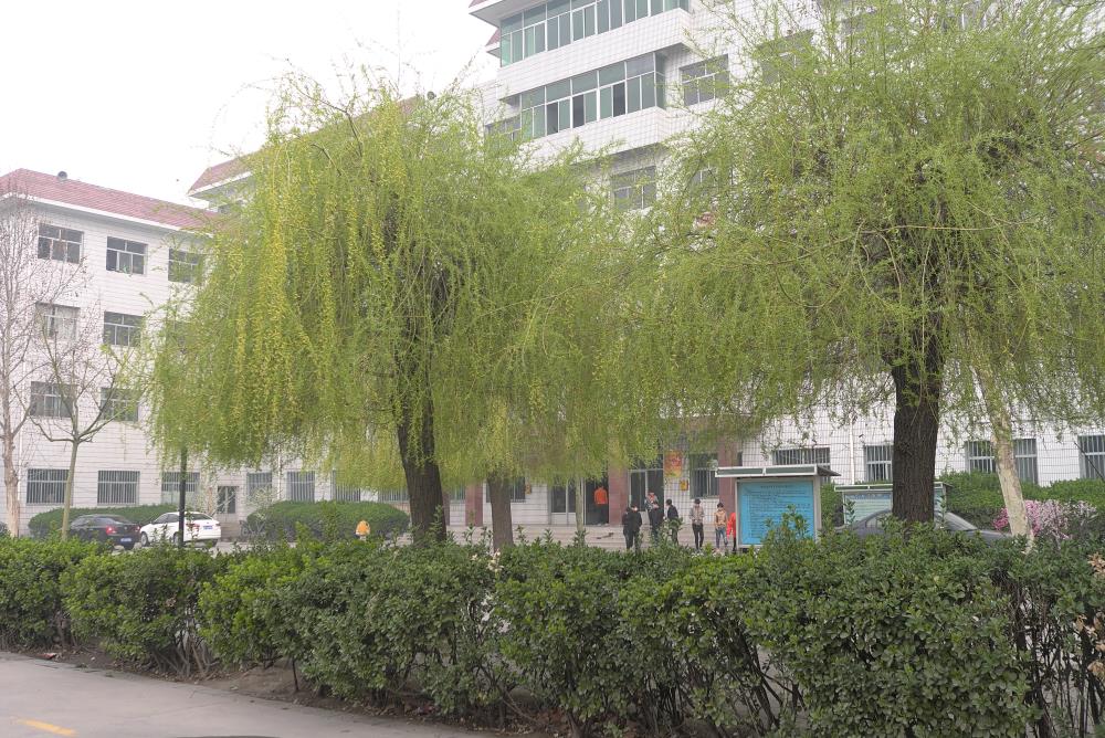 保定育德中等專業學校招收往屆畢業生嗎? 保定育德中等專業學校招收往屆畢業生嗎?