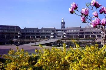 學習網站建設與管理專業有哪些發展方向? 學習網站建設與管理專業有哪些發展方向?