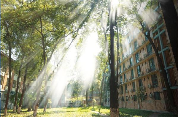 南京工業大學航空項目國際軟件工程師定向班好嗎? 南京工業大學航空項目國際軟件工程師定向班好嗎?
