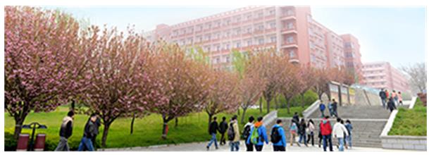 西安工程大學繼續教育學院報考流程有哪些? 西安工程大學繼續教育學院報考流程有哪些?