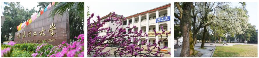 桂林理工大學繼續教育學院航空乘務培養項目有哪些專業? 桂林理工大學繼續教育學院航空乘務培養項目有哪些專業?